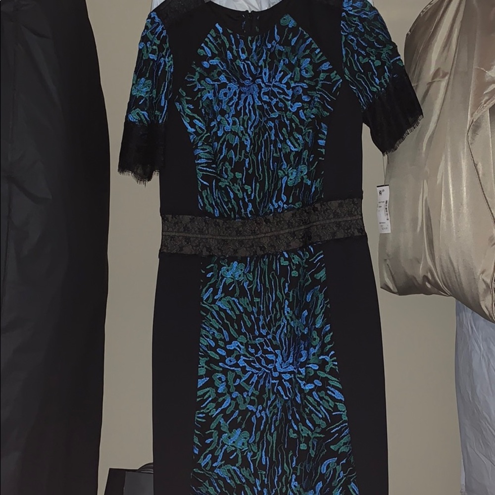 NWT Blk, G&B with lace Tadashi Shoji dress sz 10